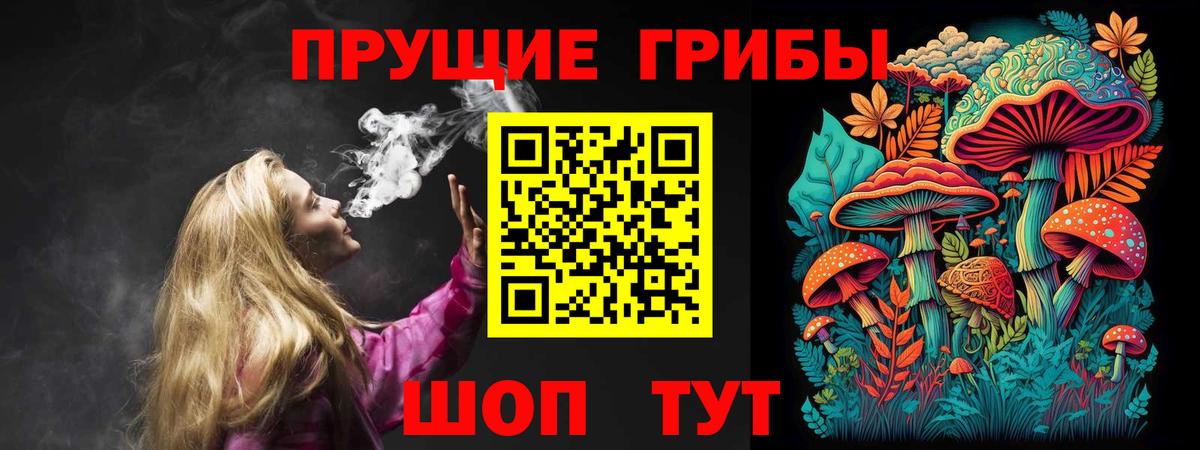 Сочи  Галлюциногенные грибы Psilocybe  Вход с VPN  цена наркотик  Псилоцибиновые грибы прущие грибы 
