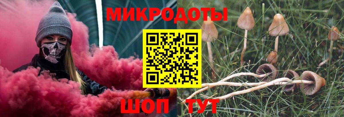 Псилоцибиновые грибы прущие грибы Сочи